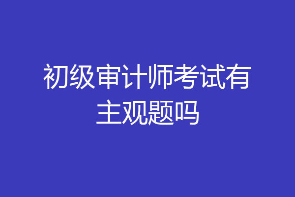 初级审计师考试有主观题吗