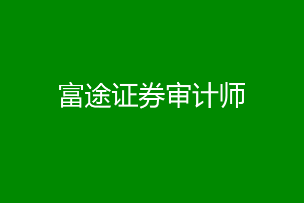 富途证券审计师