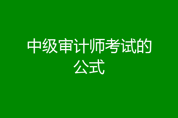 中级审计师考试的公式