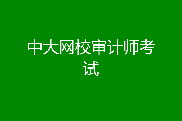 中大网校审计师考试
