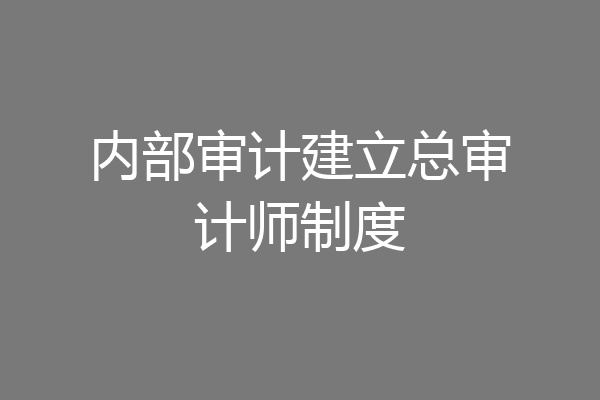 内部审计建立总审计师制度
