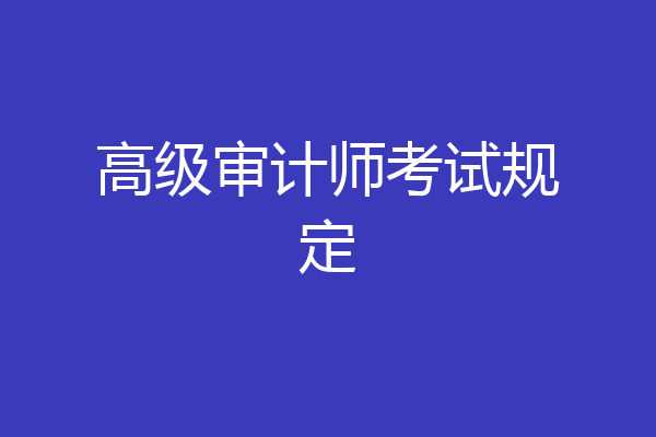 高级审计师考试规定