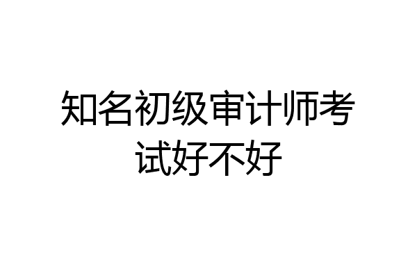 知名初级审计师考试好不好