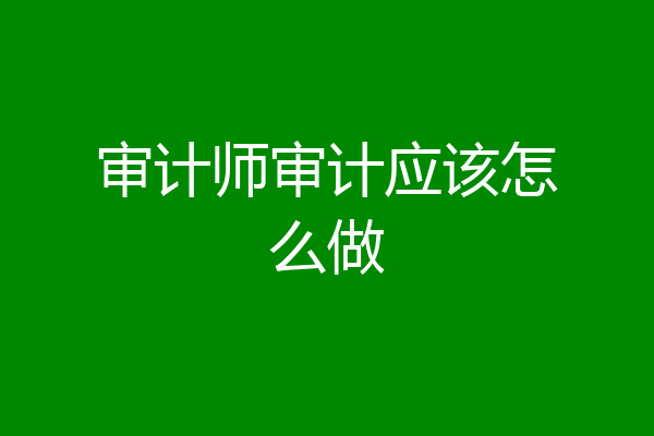 审计师审计应该怎么做