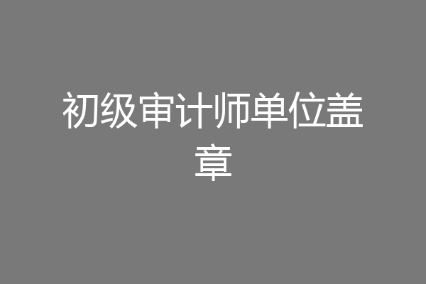 初级审计师单位盖章