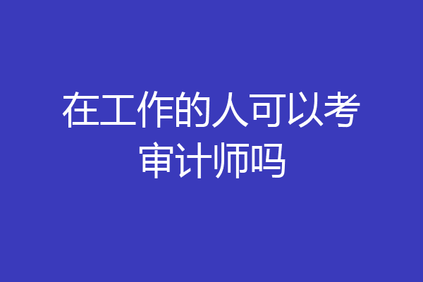 在工作的人可以考审计师吗