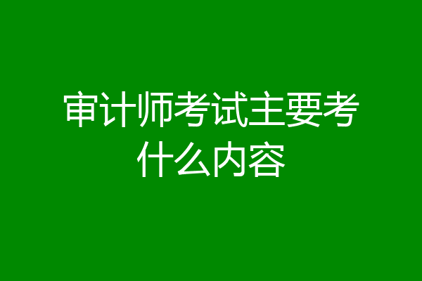 审计师考试主要考什么内容