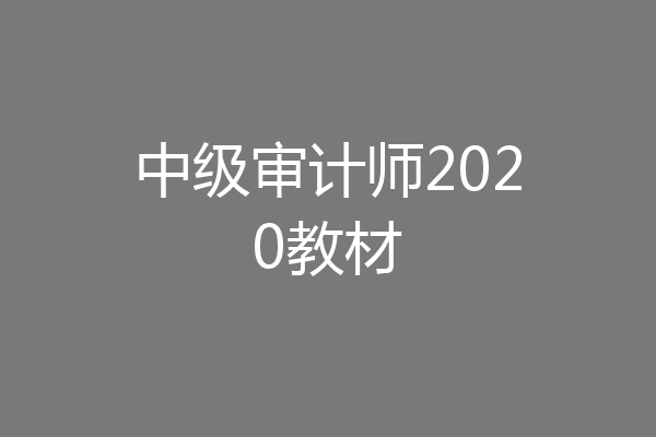 中级审计师2020教材