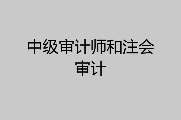 中级审计师和注会审计