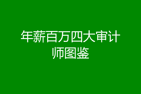 年薪百万四大审计师图鉴