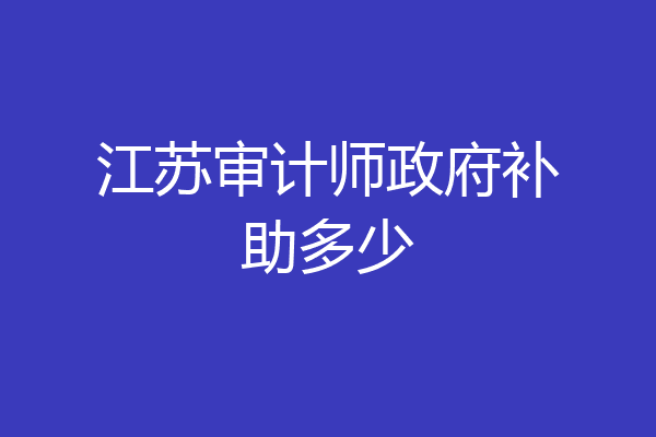 江苏审计师政府补助多少