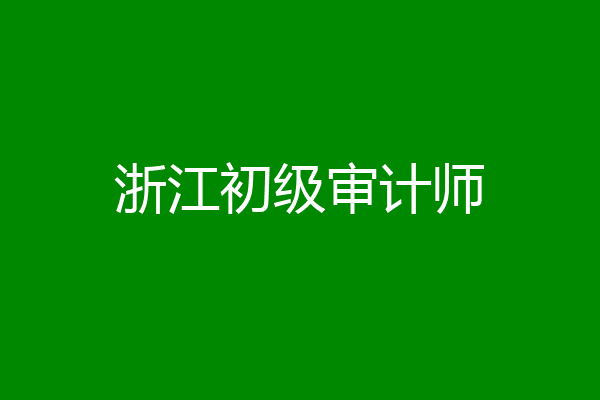 浙江初级审计师