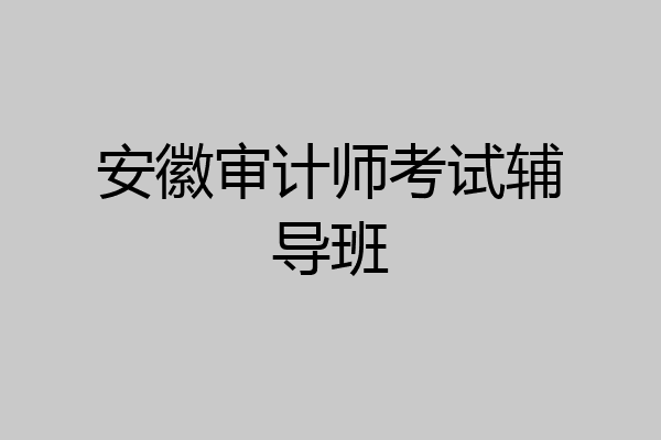 安徽审计师考试辅导班