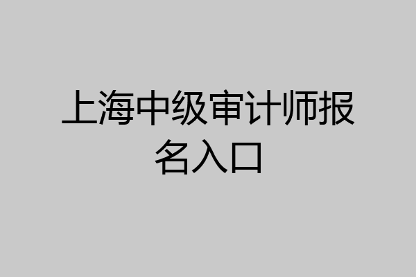 上海中级审计师报名入口