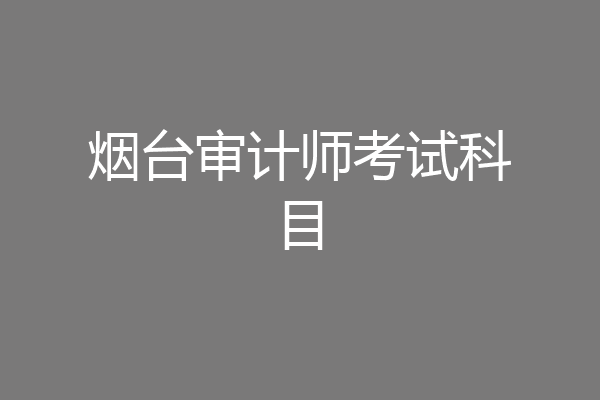 烟台审计师考试科目