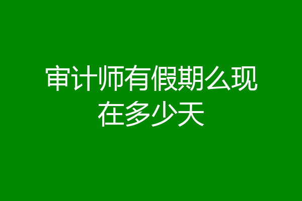 审计师有假期么现在多少天