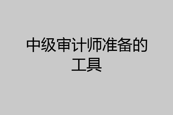 中级审计师准备的工具