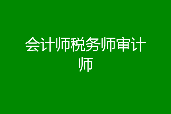 会计师税务师审计师