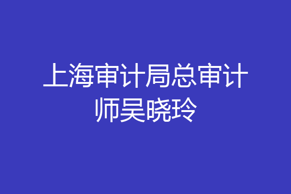 上海审计局总审计师吴晓玲