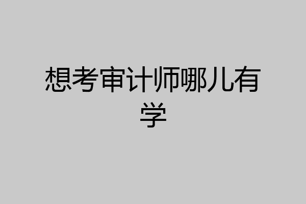 想考审计师哪儿有学