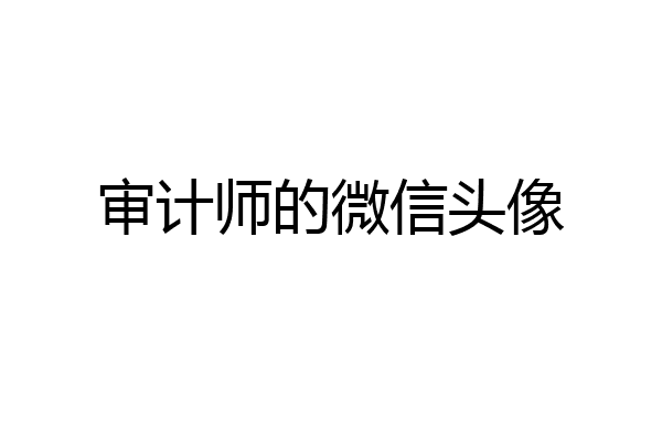 审计师的微信头像