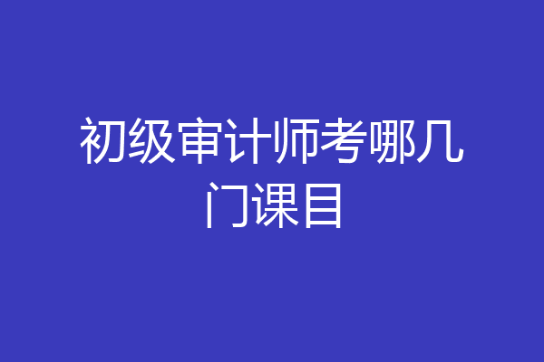 初级审计师考哪几门课目