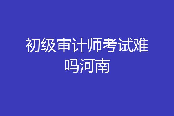 初级审计师考试难吗河南