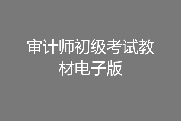 审计师初级考试教材电子版