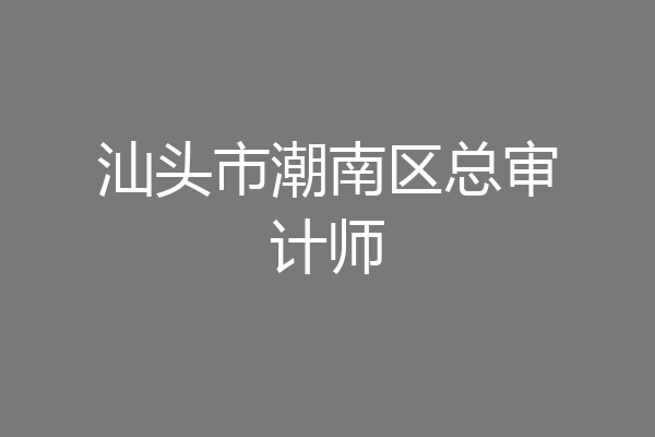 汕头市潮南区总审计师
