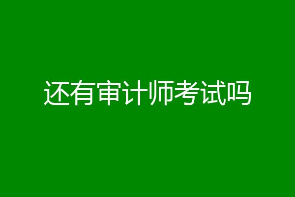还有审计师考试吗