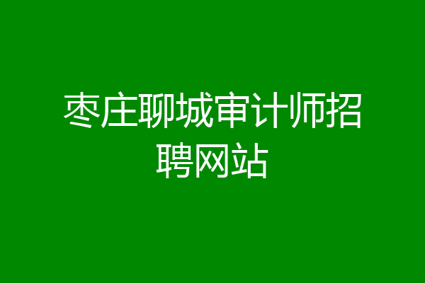 枣庄聊城审计师招聘网站