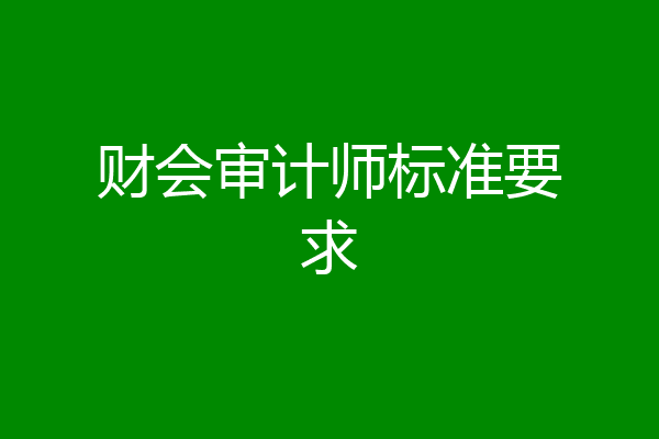 财会审计师标准要求