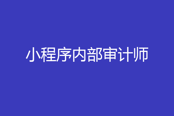 小程序内部审计师