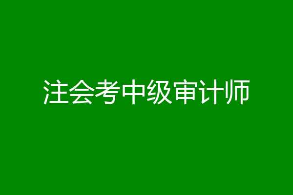 注会考中级审计师