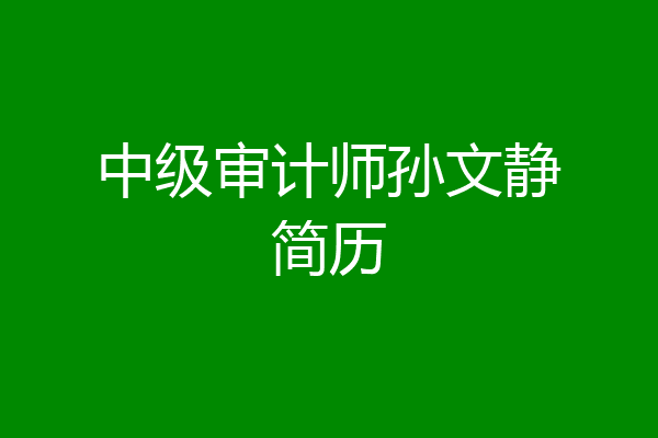 中级审计师孙文静简历