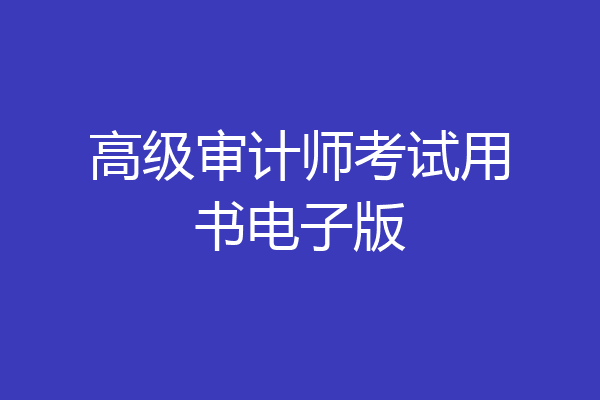 高级审计师考试用书电子版