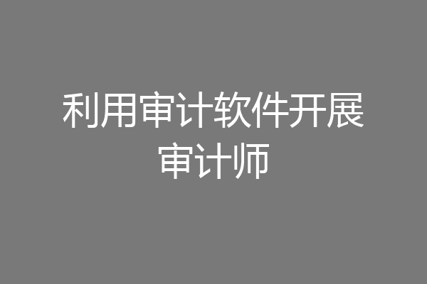 利用审计软件开展审计师