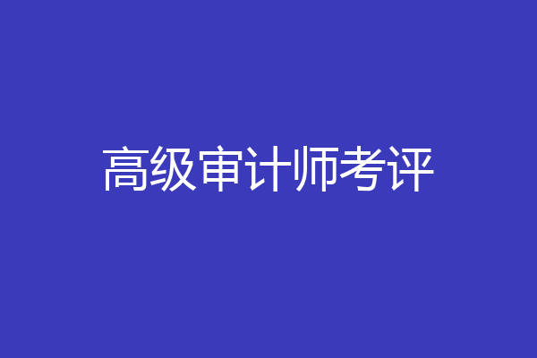高级审计师考评