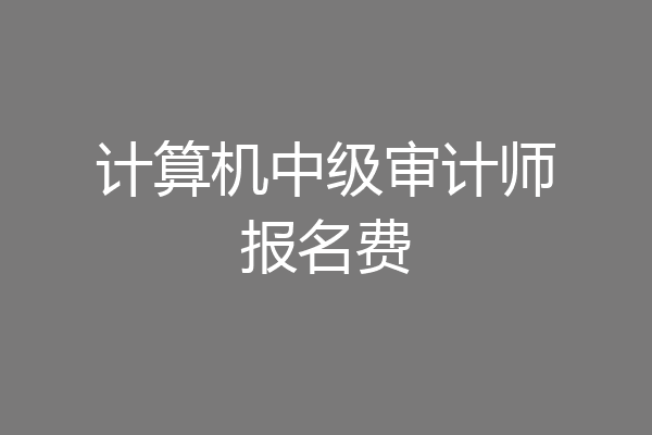 计算机中级审计师报名费