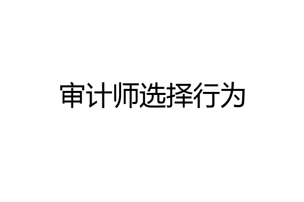 审计师选择行为