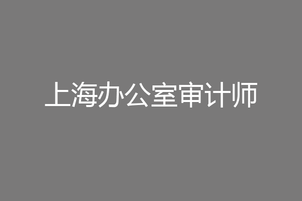 上海办公室审计师