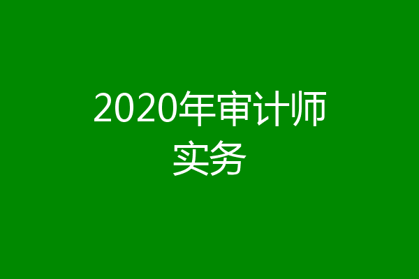 2020年审计师实务