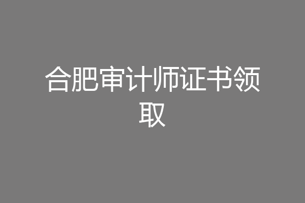 合肥审计师证书领取