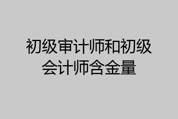 初级审计师和初级会计师含金量