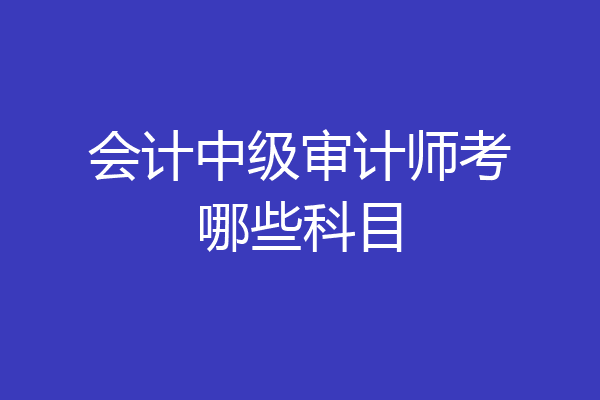 会计中级审计师考哪些科目