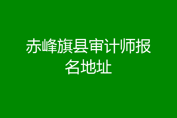 赤峰旗县审计师报名地址