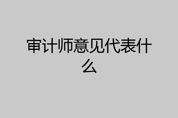 审计师意见代表什么