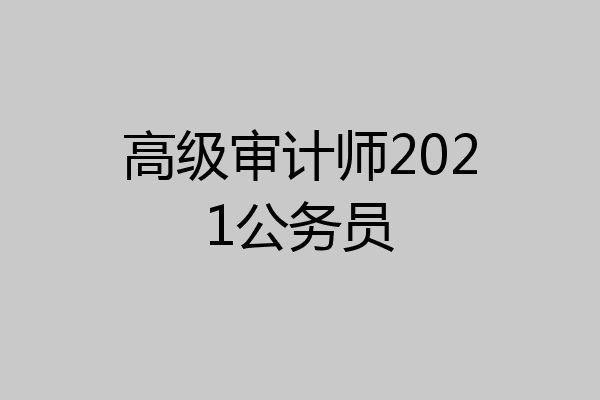 高级审计师2021公务员