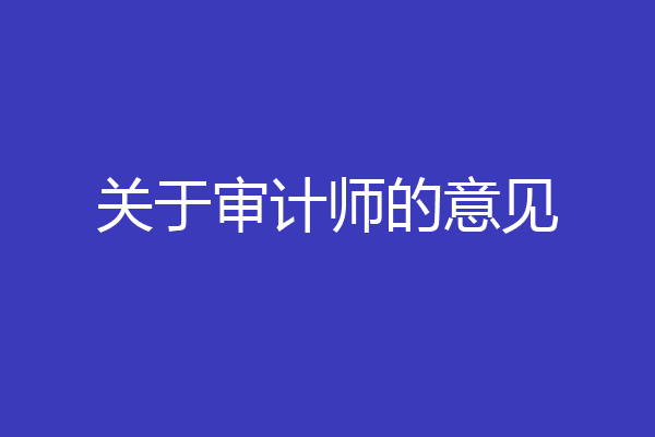 关于审计师的意见