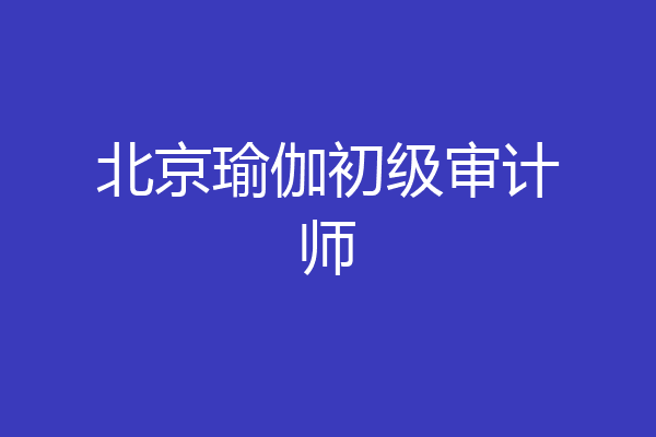 北京瑜伽初级审计师
